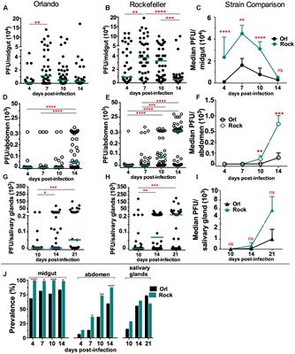 Aedes aegypti Molecular Responses to Zika Virus: Modulation of Infection by the Toll and Jak/Stat Immune Pathways and Virus Host Factors